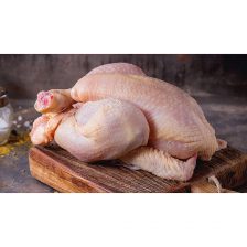 Frango
