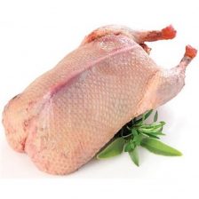Pato