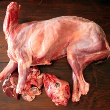 Borrego de Pasto